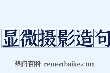 显微摄影造句是什么意思的图片